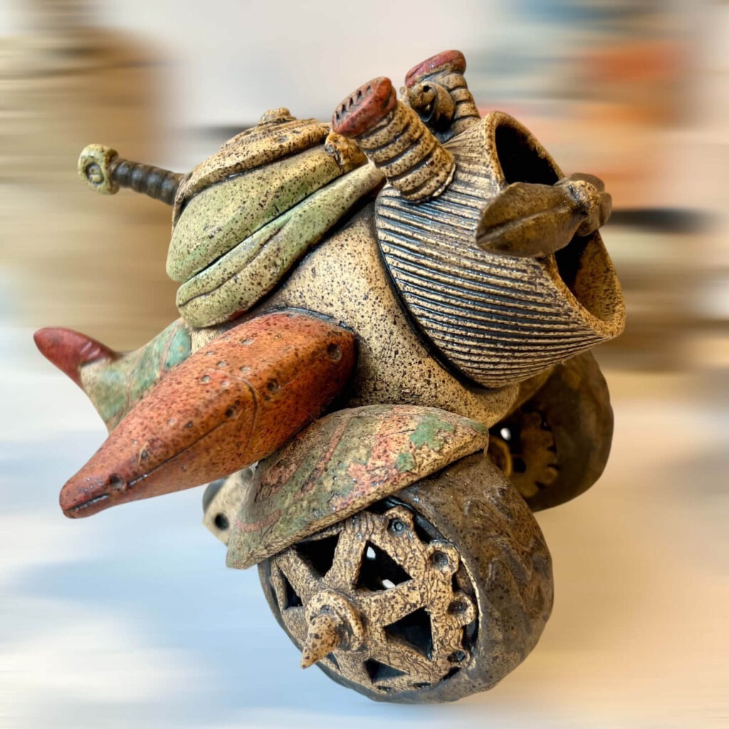 Steve Palme Airplane